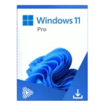 Microsoft Windows 11 Professional