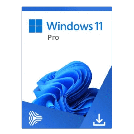 Microsoft Windows 11 Professional
